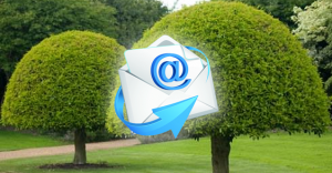 Электронная почта для дерева
