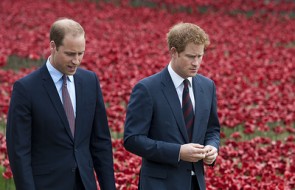 Принцы Уильям и Гарри установят в Лондоне памятник принцессе Диане