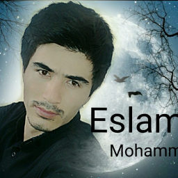 Eslam Mohammadi
