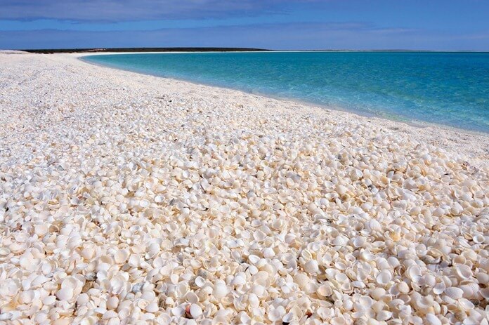 Shell Beach, залив Шарк, Австралия