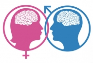 В чем отличие женского мозга от мужского?